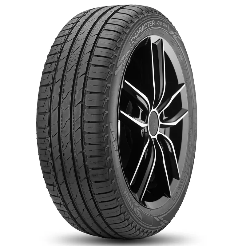 Ikon Tyres (Nokian) Character Aqua SUV 255/50 R20 109V без шипов